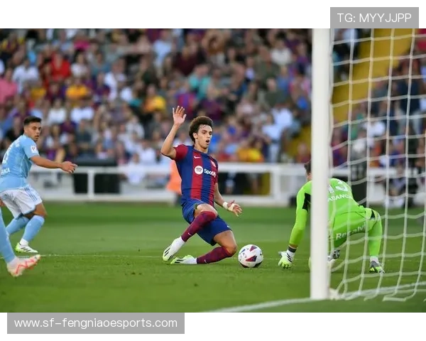 23位足球巨星齐聚赛场谁能称霸世界足球新格局